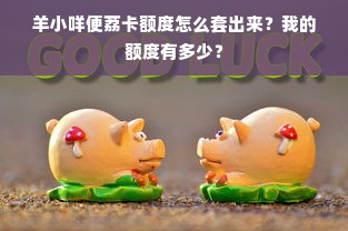 羊小咩便荔卡额度怎么套出来？我的额度有多少？