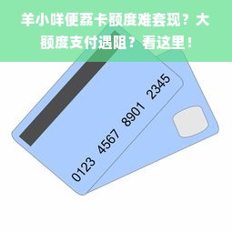 羊小咩便荔卡额度难套现？大额度支付遇阻？看这里！