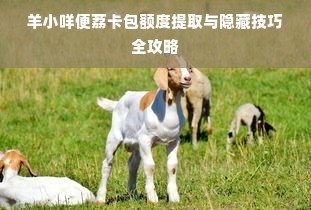 羊小咩便荔卡包额度提取与隐藏技巧全攻略