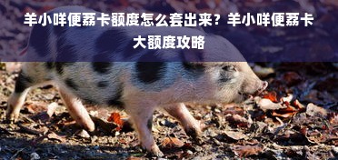 羊小咩便荔卡额度怎么套出来？羊小咩便荔卡大额度攻略