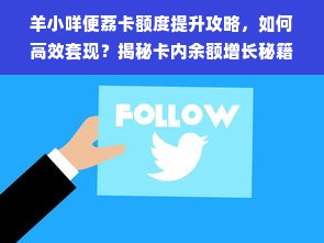 羊小咩便荔卡额度提升攻略，如何高效套现？揭秘卡内余额增长秘籍！