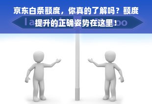 京东白条额度，你真的了解吗？额度提升的正确姿势在这里！
