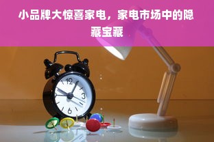 小品牌大惊喜家电，家电市场中的隐藏宝藏