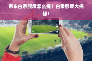 京东白条额度怎么提？白条额度大揭秘！