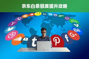 京东白条额度提升攻略