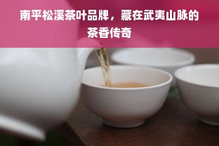 南平松溪茶叶品牌，藏在武夷山脉的茶香传奇