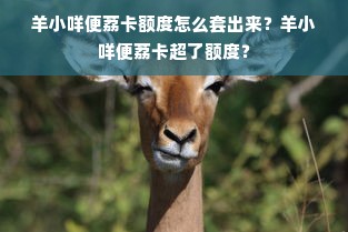 羊小咩便荔卡额度怎么套出来？羊小咩便荔卡超了额度？