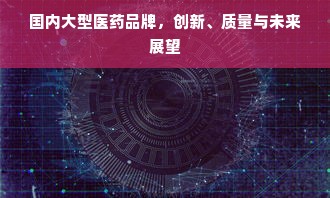 国内大型医药品牌，创新、质量与未来展望