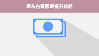 京东白条额度提升攻略