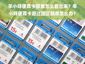 羊小咩便荔卡额度怎么套出来？羊小咩便荔卡超过固定额度怎么办？