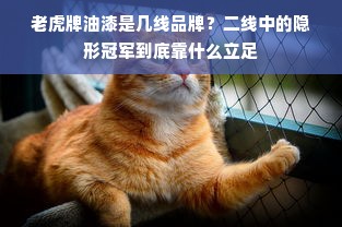 老虎牌油漆是几线品牌？二线中的隐形冠军到底靠什么立足