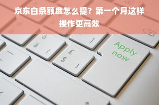 京东白条额度怎么提？第一个月这样操作更高效