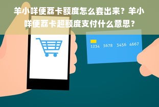 羊小咩便荔卡额度怎么套出来？羊小咩便荔卡超额度支付什么意思？