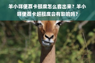 羊小咩便荔卡额度怎么套出来？羊小咩便荔卡超额度会有影响吗？