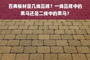 百典板材是几线品牌？一线品牌中的黑马还是二线中的黑马？