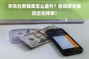 京东白条额度怎么提升？低额度也能玩出花样来！