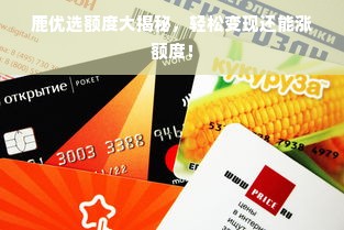鹿优选额度大揭秘，轻松变现还能涨额度！