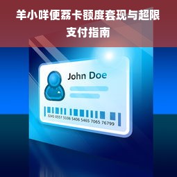 羊小咩便荔卡额度套现与超限支付指南