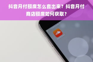 鹿优选额度不够用？这些方法帮你轻松解决！