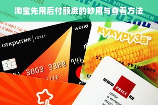 淘宝先用后付额度的妙用与查看方法