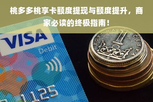 桃多多桃享卡额度提现与额度提升，商家必读的终极指南！