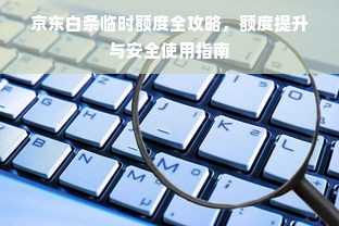 京东白条临时额度全攻略，额度提升与安全使用指南