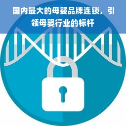 国内最大的母婴品牌连锁，引领母婴行业的标杆