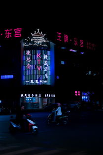 广西汽车品牌大揭秘，从本土制造到国际舞台的华丽转变