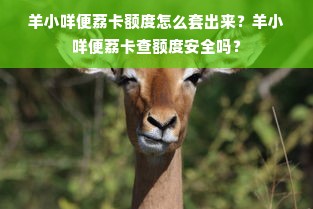 羊小咩便荔卡额度怎么套出来？羊小咩便荔卡查额度安全吗？