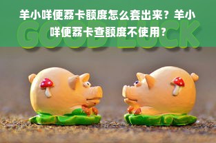 羊小咩便荔卡额度怎么套出来？羊小咩便荔卡查额度不使用？