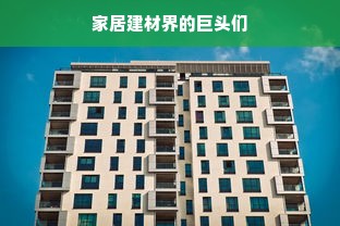 家居建材界的巨头们