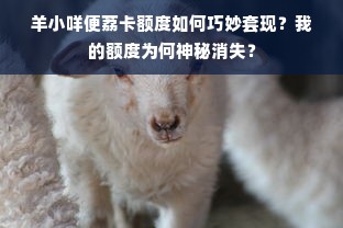 羊小咩便荔卡额度如何巧妙套现？我的额度为何神秘消失？