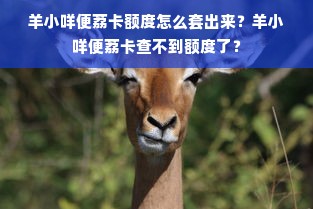 羊小咩便荔卡额度怎么套出来？羊小咩便荔卡查不到额度了？