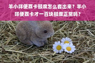 羊小咩便荔卡额度怎么套出来？羊小咩便荔卡才一百块额度正常吗？