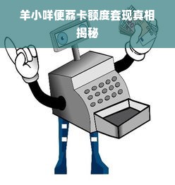 羊小咩便荔卡额度套现真相揭秘