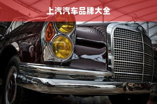 上汽汽车品牌大全