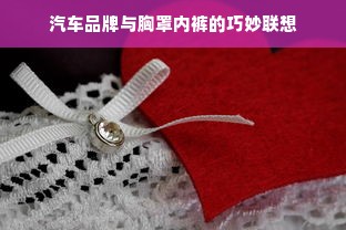 汽车品牌与胸罩内裤的巧妙联想