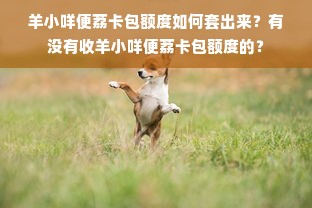 羊小咩便荔卡包额度如何套出来？有没有收羊小咩便荔卡包额度的？