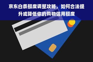 京东白条额度调整攻略，如何合法提升或降低你的购物信用额度