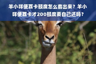 羊小咩便荔卡额度怎么套出来？羊小咩便荔卡才200额度要自己还吗？