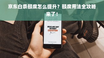 京东白条额度怎么提升？额度用法全攻略来了！