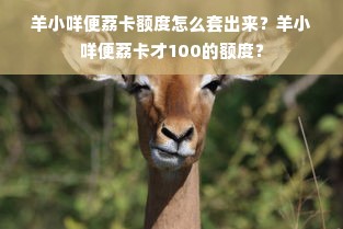 羊小咩便荔卡额度怎么套出来？羊小咩便荔卡才100的额度？