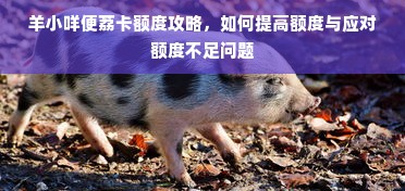 羊小咩便荔卡额度攻略，如何提高额度与应对额度不足问题