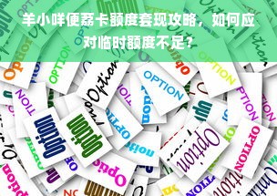 羊小咩便荔卡额度套现攻略，如何应对临时额度不足？