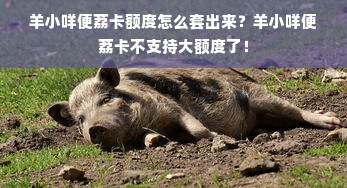 羊小咩便荔卡额度怎么套出来？羊小咩便荔卡不支持大额度了！