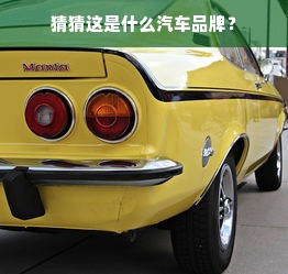 猜猜这是什么汽车品牌？