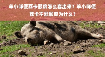 羊小咩便荔卡额度怎么套出来？羊小咩便荔卡不涨额度为什么？