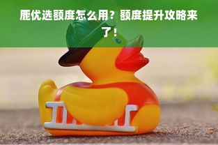 鹿优选额度怎么用？额度提升攻略来了！