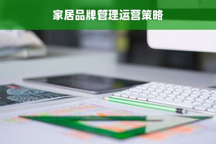 家居品牌管理运营策略