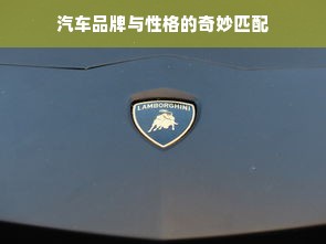汽车品牌与性格的奇妙匹配